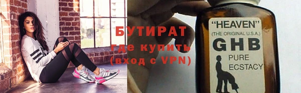 индика Алексин