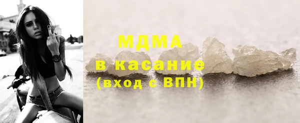 индика Алексин