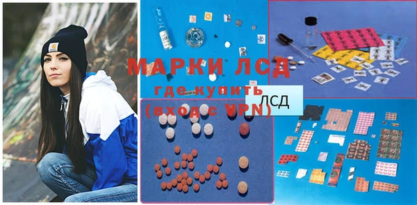 индика Алексин