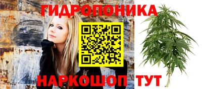 каннабис Гусев