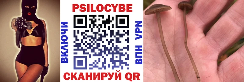 Псилоцибиновые грибы MAGIC MUSHROOMS  Нижнеудинск 