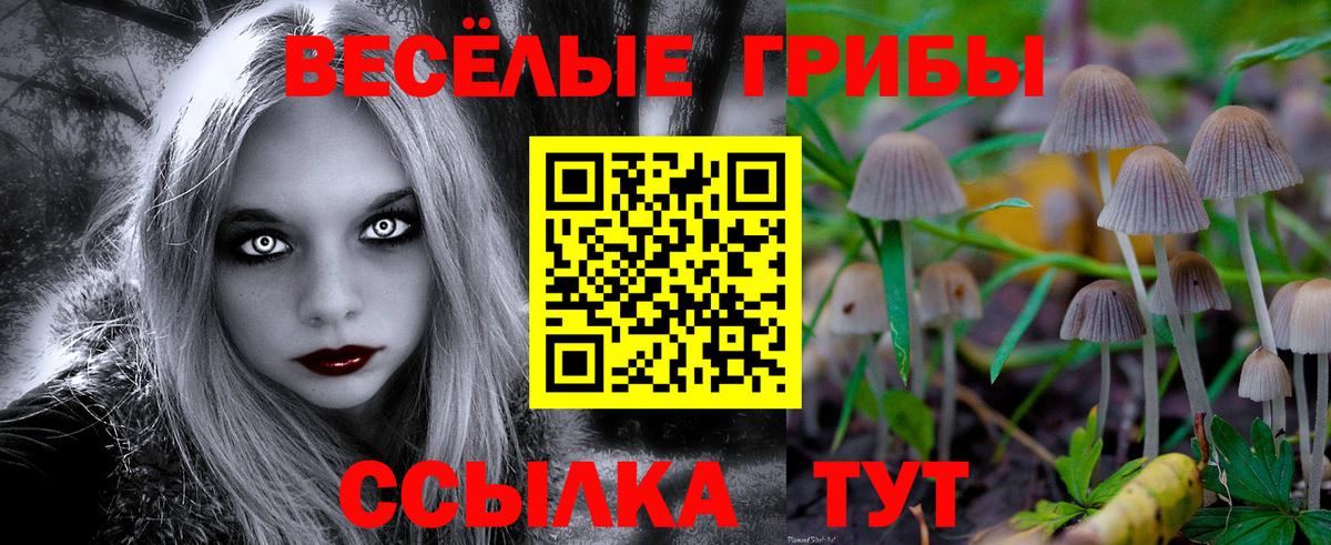 закладки  Галлюциногенные грибы Psilocybe  Псилоцибиновые грибы прущие грибы  Вход с VPN  Нижнеудинск 